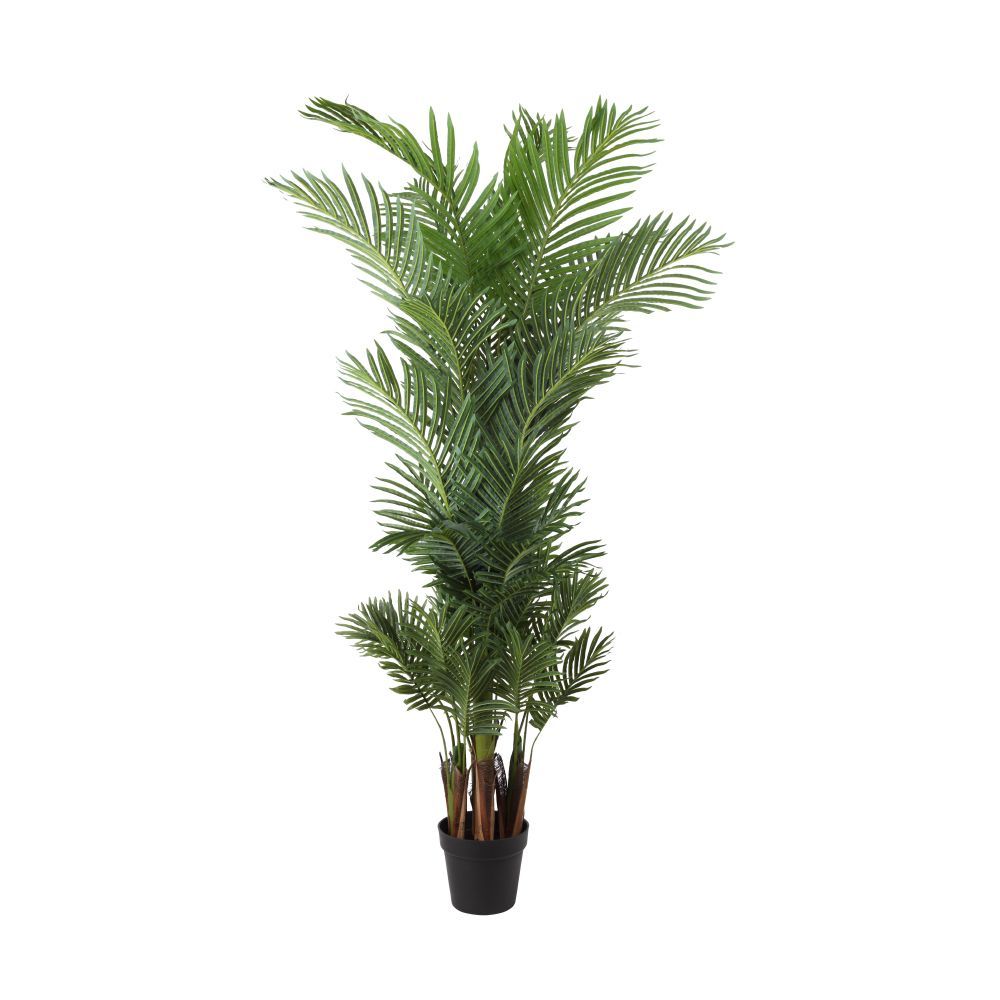 Model 180 cm - Green