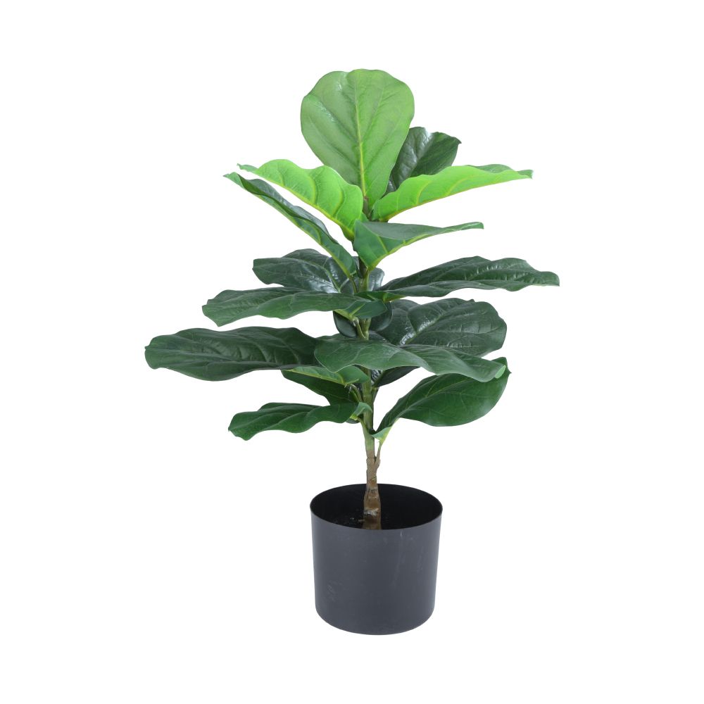 Model Size 55 cm - Green