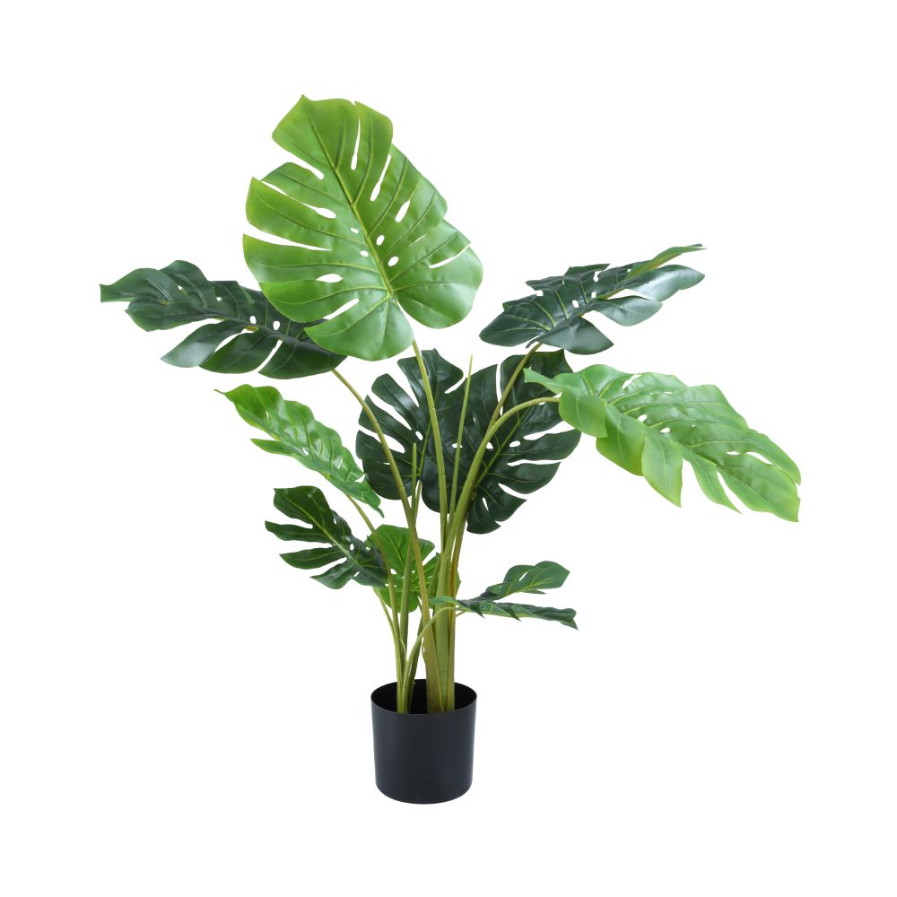 Model Size 112 cm - Green