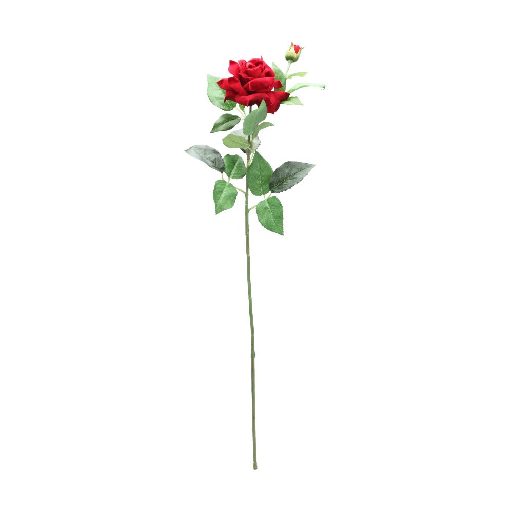 2 Model - Color