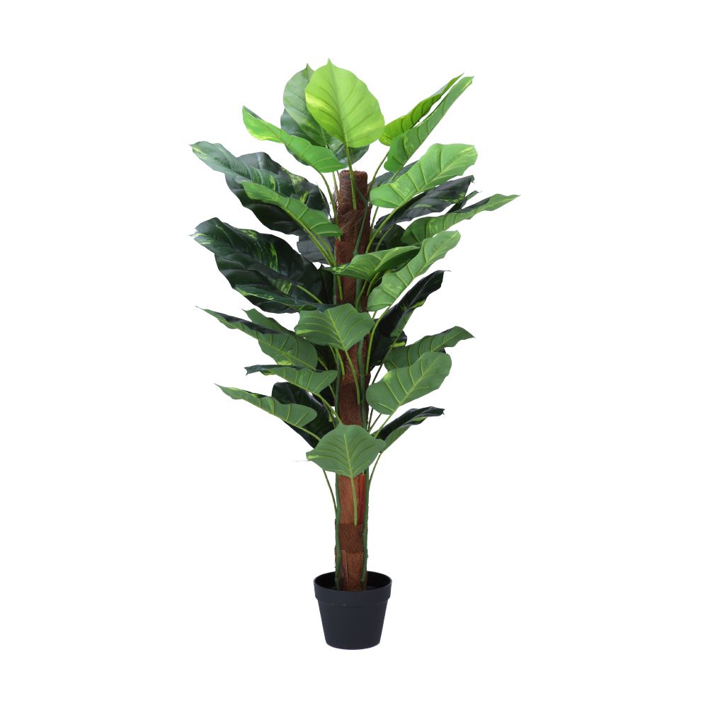 Model 120 cm - Green