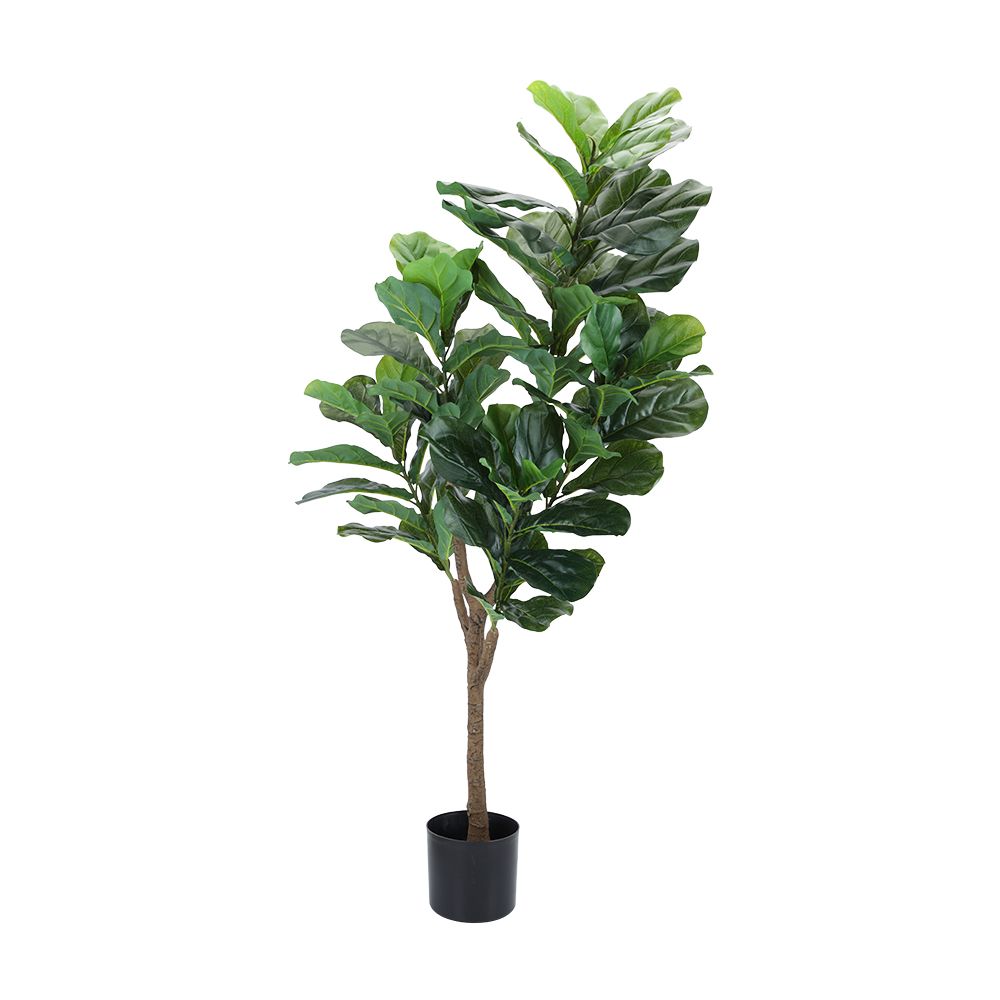 Model 145 cm - Green