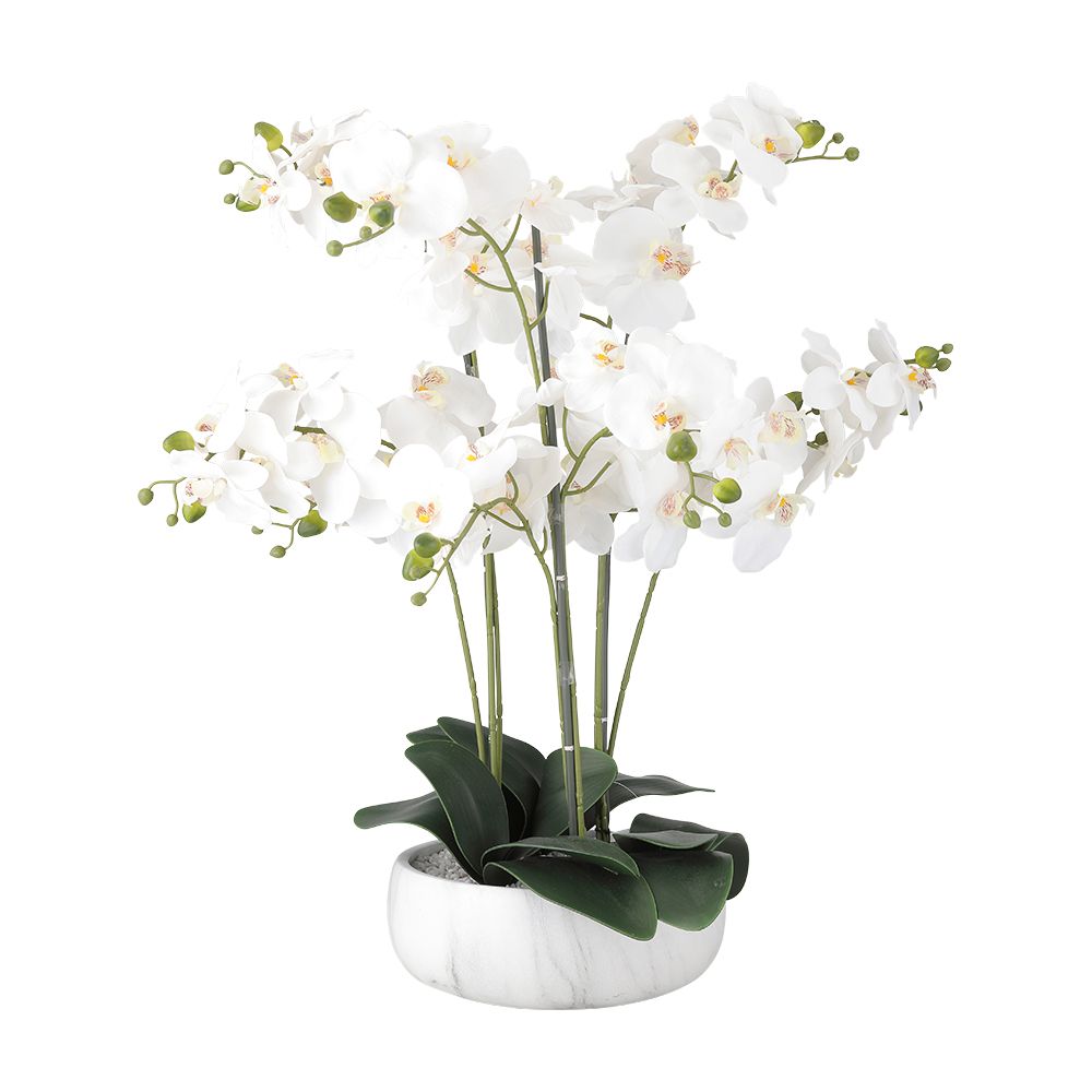 Model 65 cm - white
