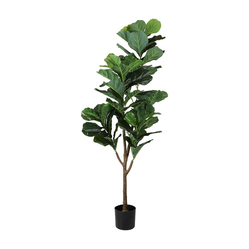  Model 170 cm - Green