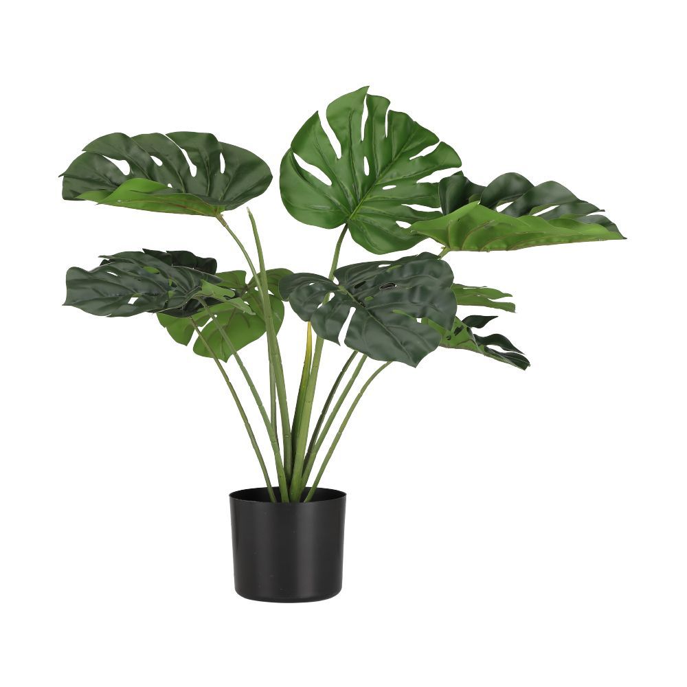 Model 66 cm - Green