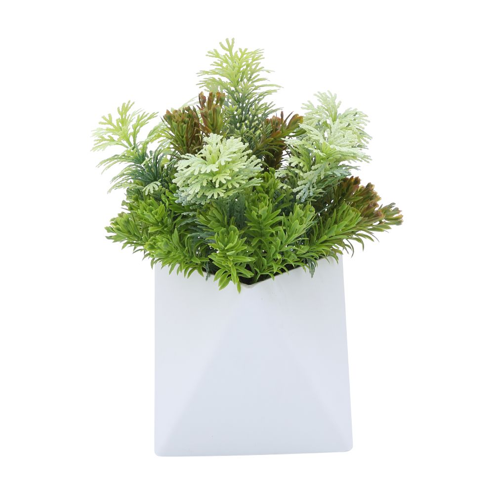 Model - Green/
