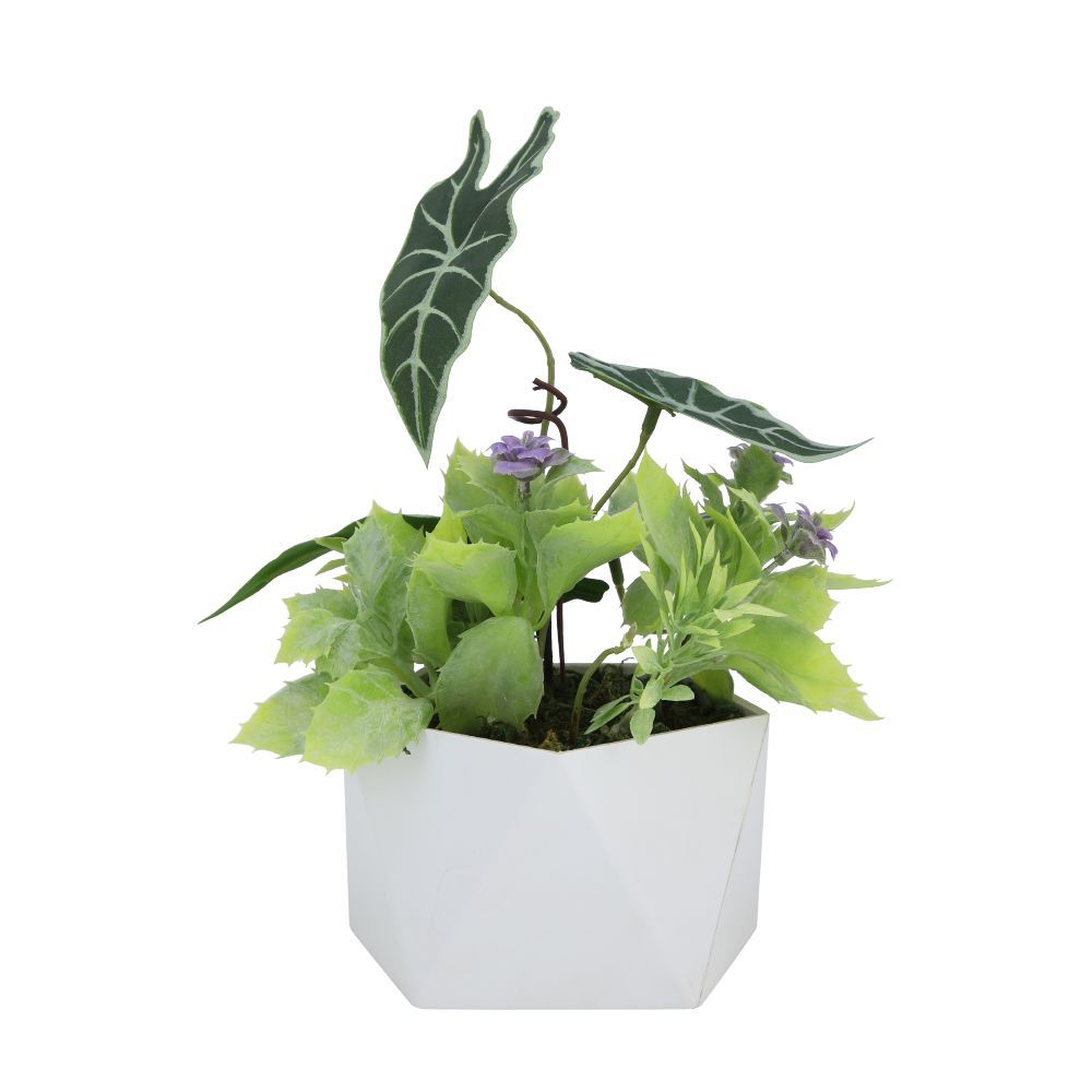  Model - Green/