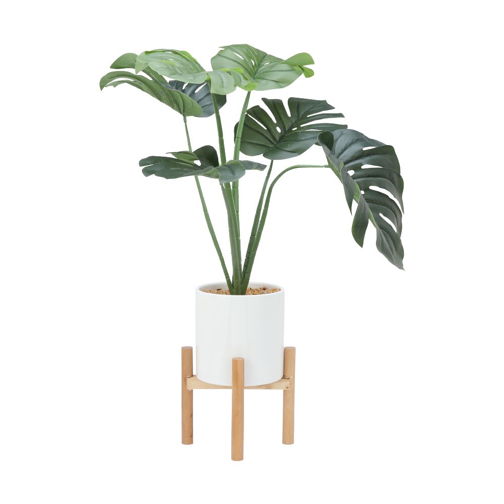 Model - Green/