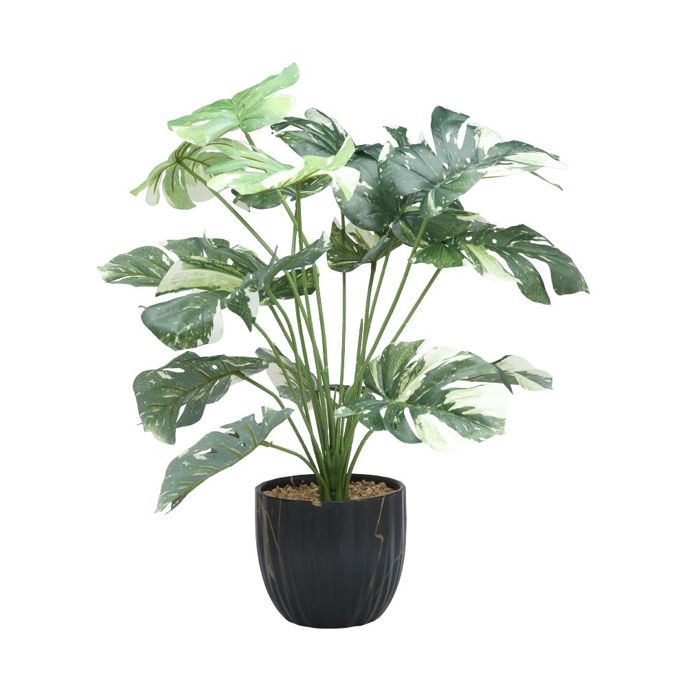 Model 67 cm - Green/