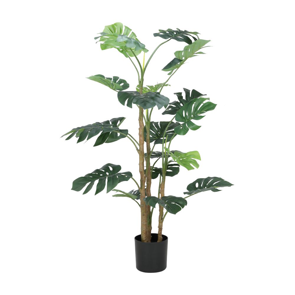 Model 160 cm - Green