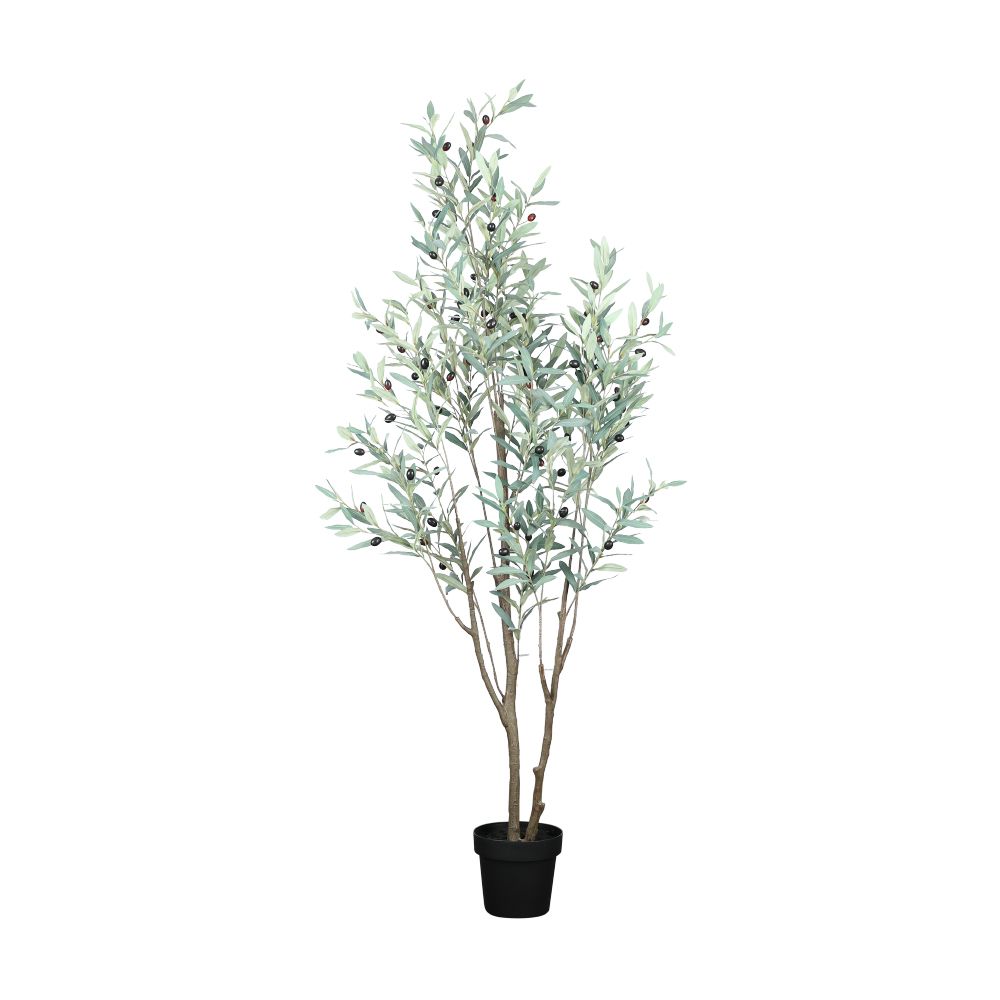 Model Size 180 cm. - Green/