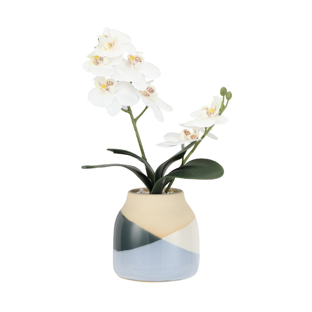 Model - white/Color