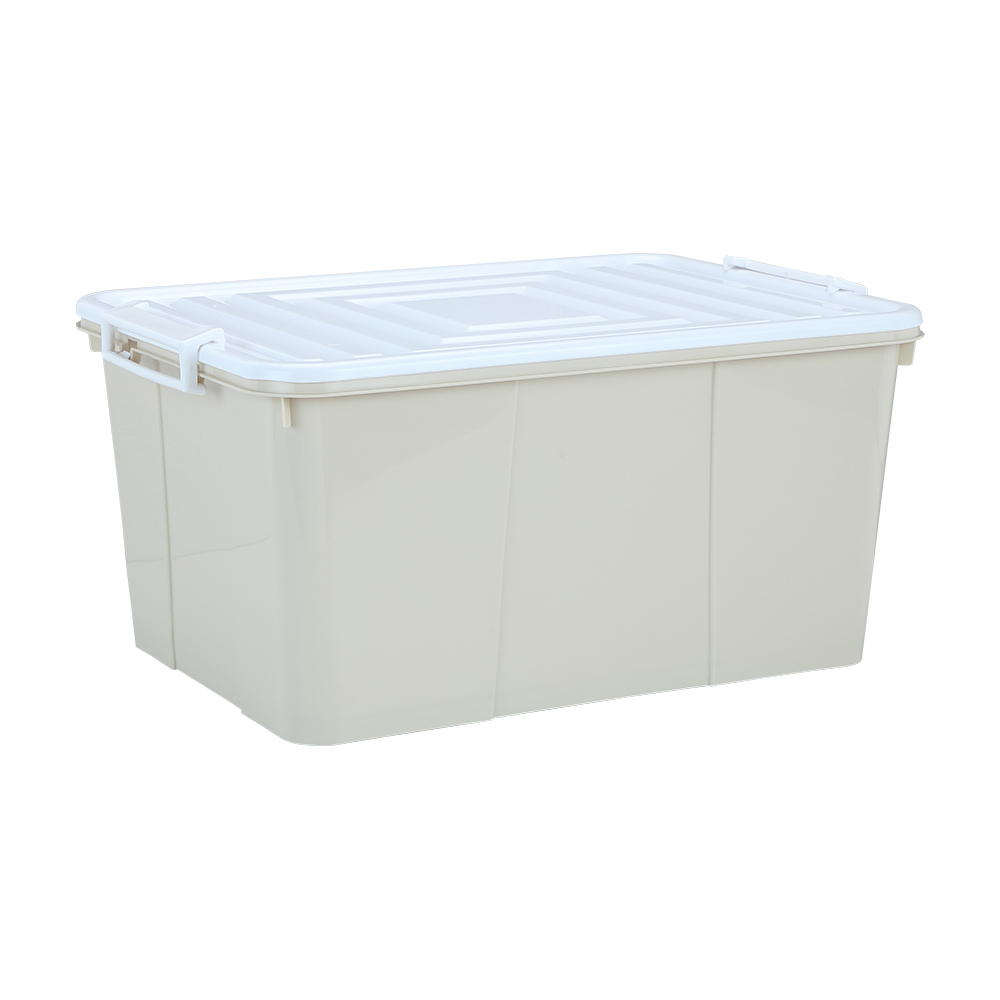 Model Size 35.5 - Color