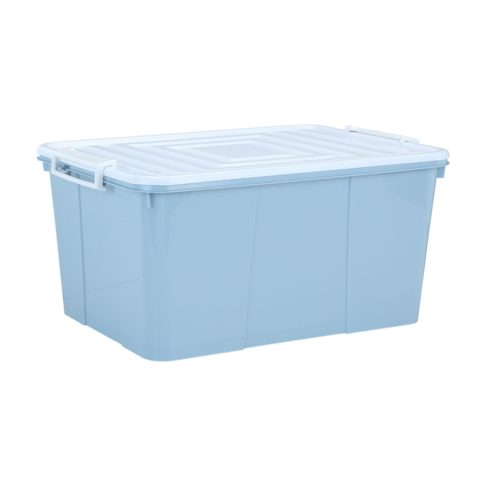 Model Size 35.5 - Color