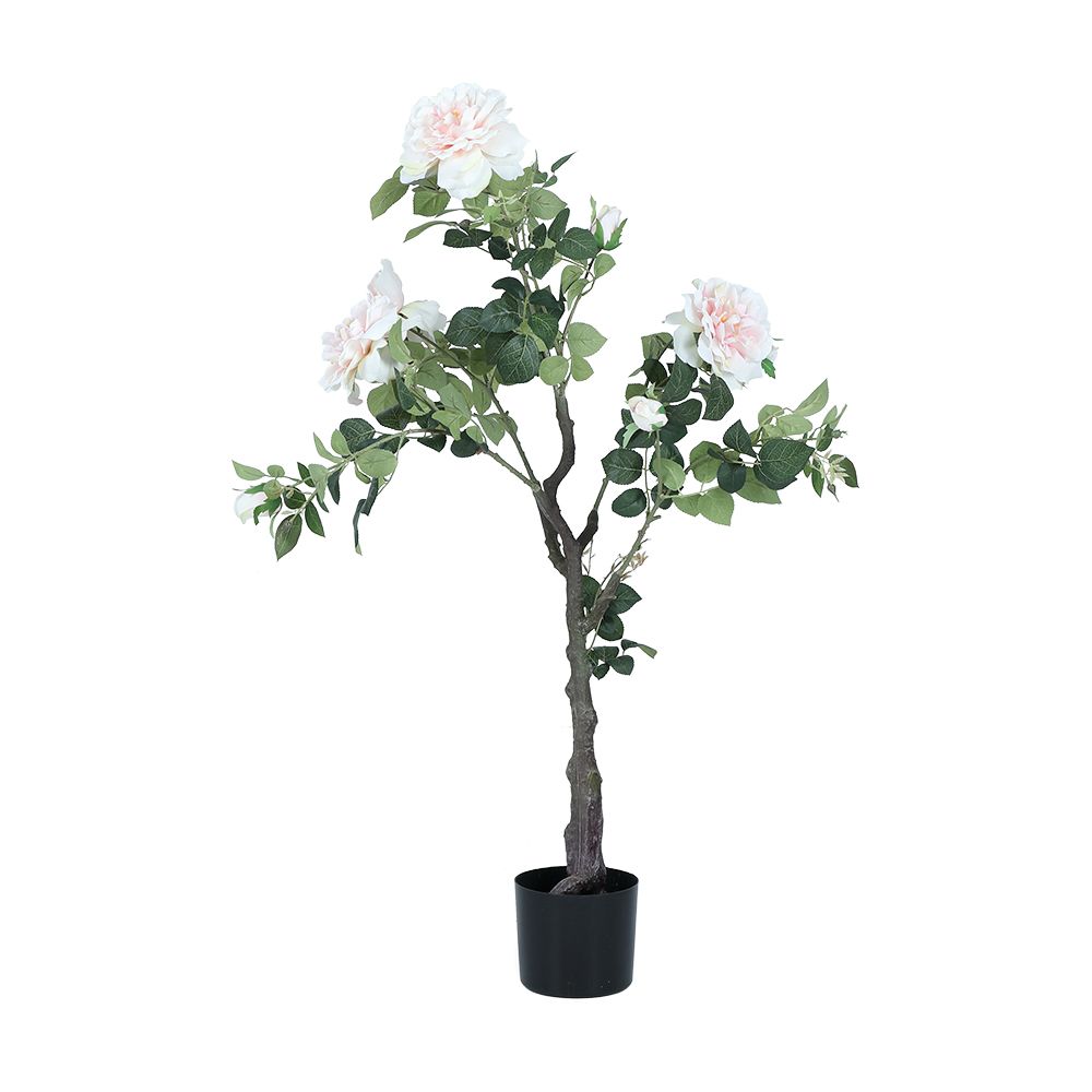 Model Size 50 x 50 x 115 cm - Color/