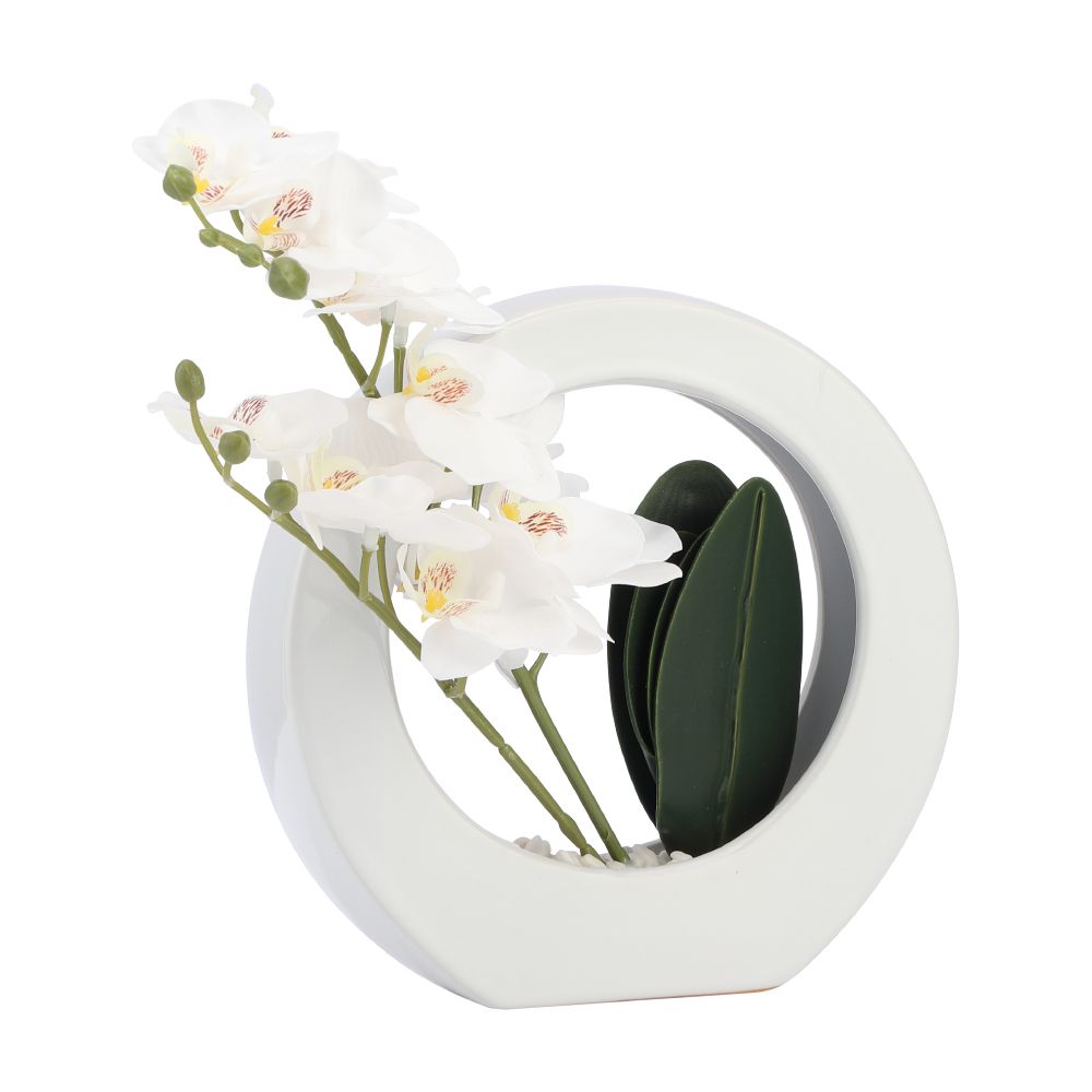  Model - white