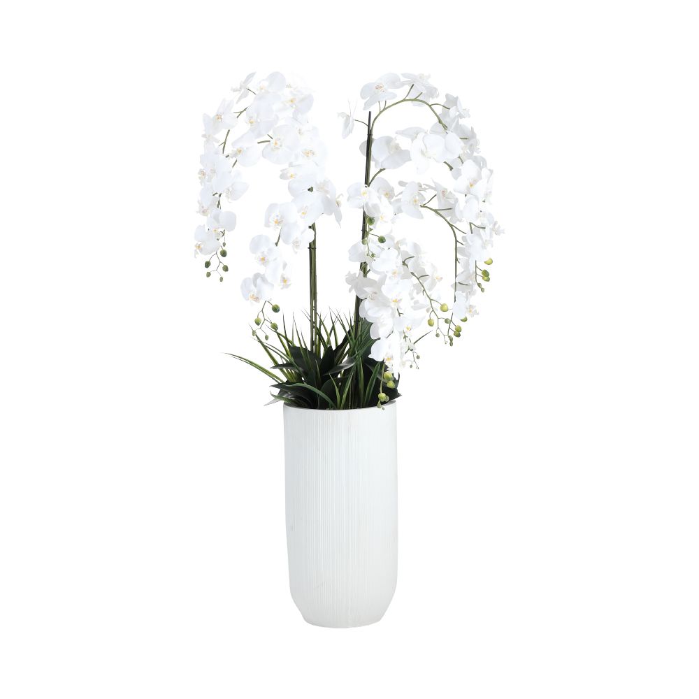 Model - white