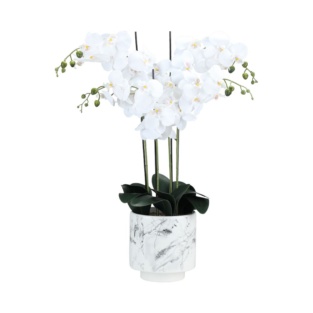Model - white