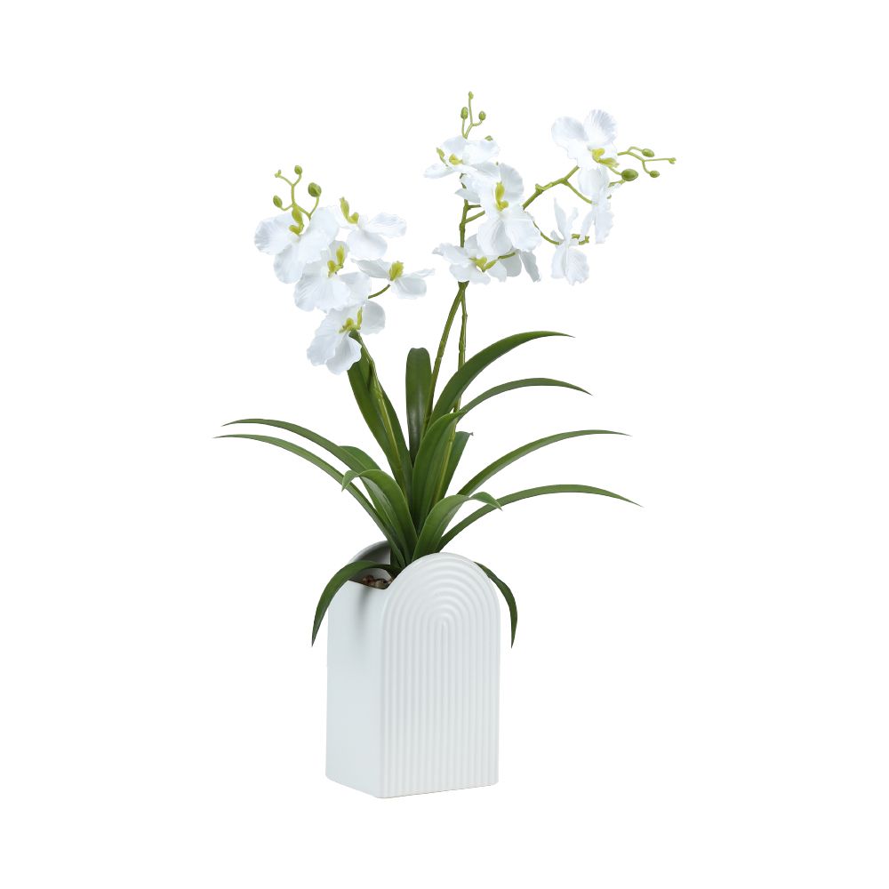 Model - white