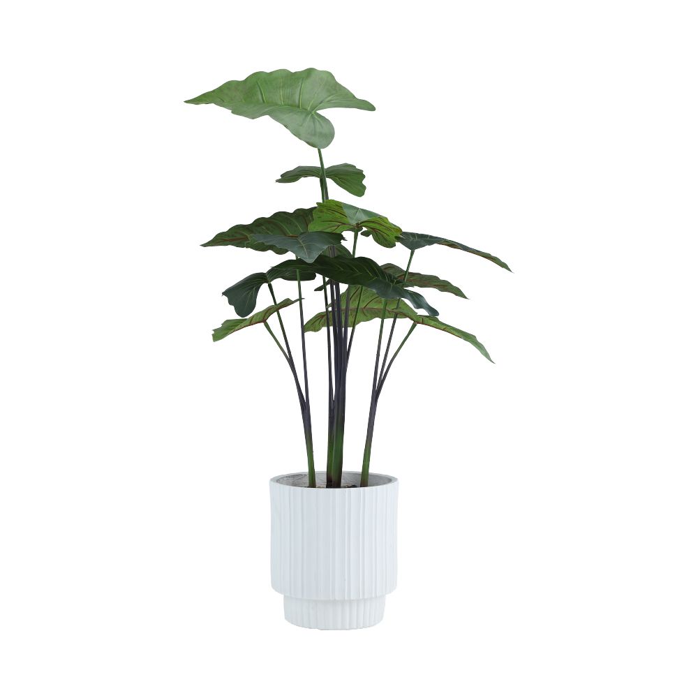 Model 105 cm - Green/