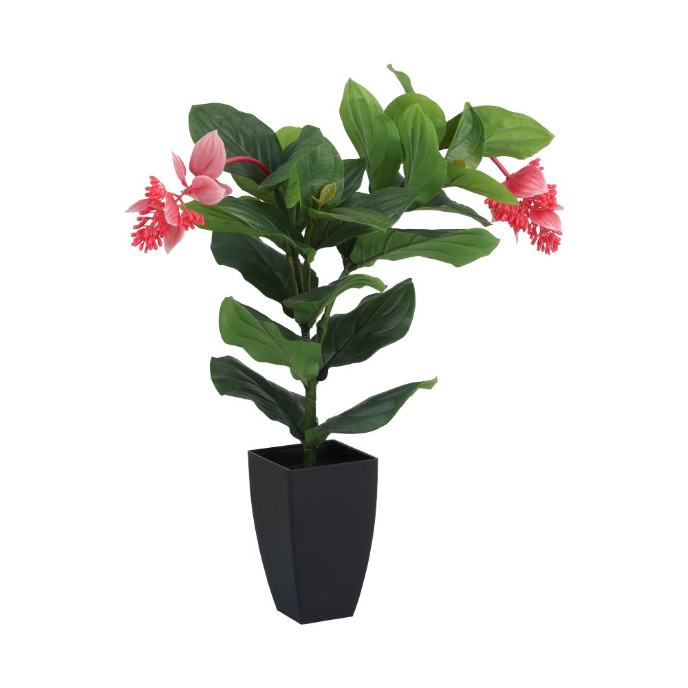 product 170146940