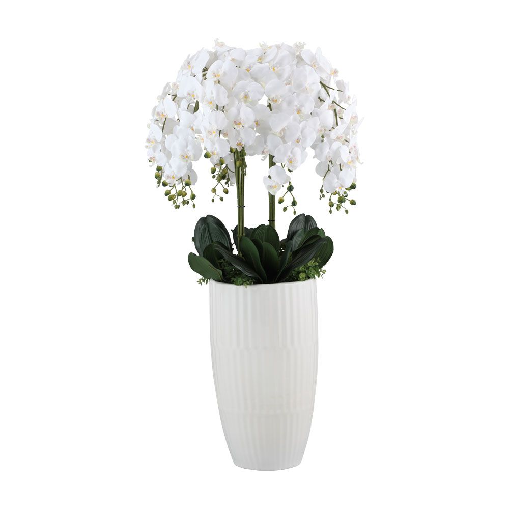 Model Size 70 x 172 cm - white