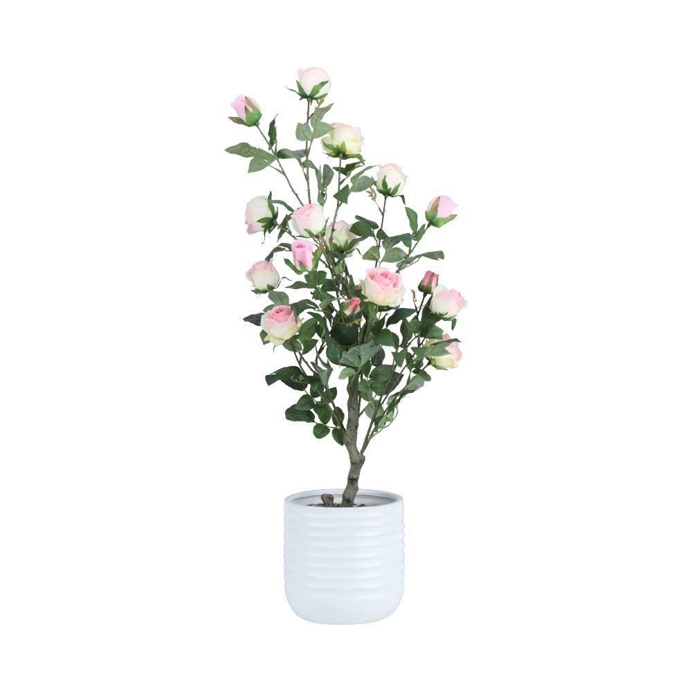 Model 89 cm - Color/