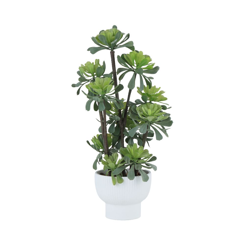 product 170149368