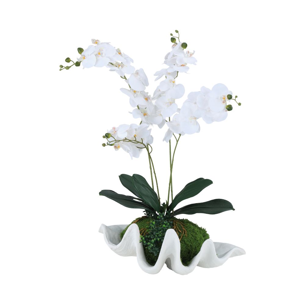 product 170149373