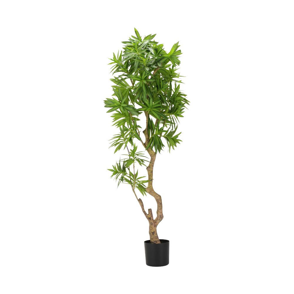 product 170149681