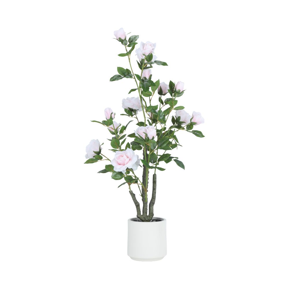 Model 105 cm - Color/