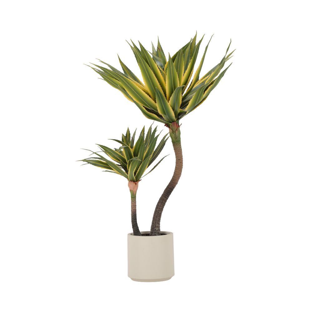 product 170149684
