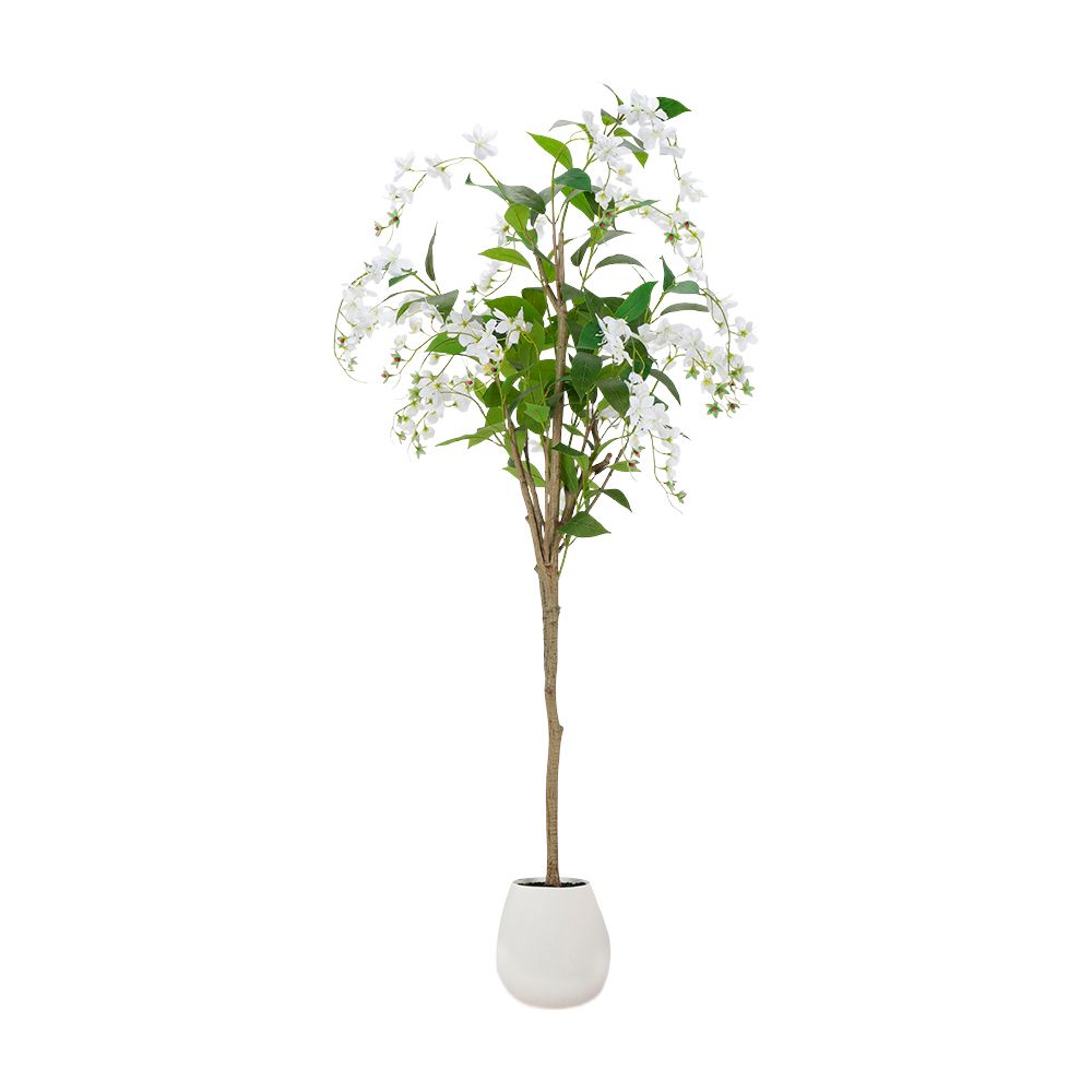 product 170149685