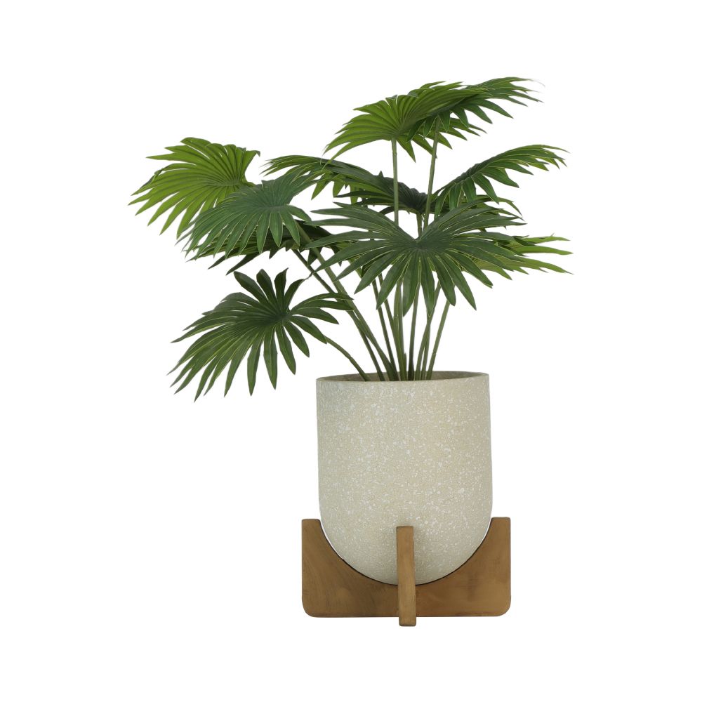 product 170150024