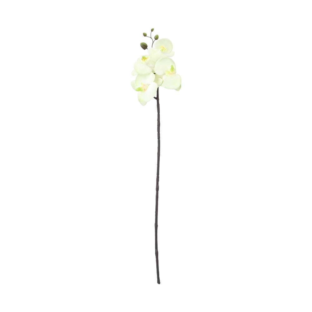 ดอกไม้ประดิษฐ์ รุ่นกรีน ออร์คิด - สีเขียว
