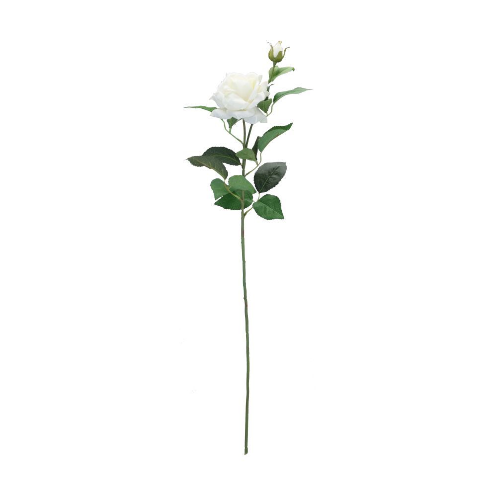 ดอกกุหลาบก้าน 2 ดอก รุ่น โรเซียน่า - สีขาว