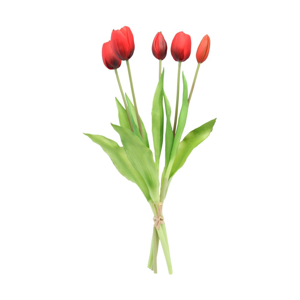 ช่อดอกทิวลิป 5 ดอก รุ่น ทูลิเปีย - สีแดง