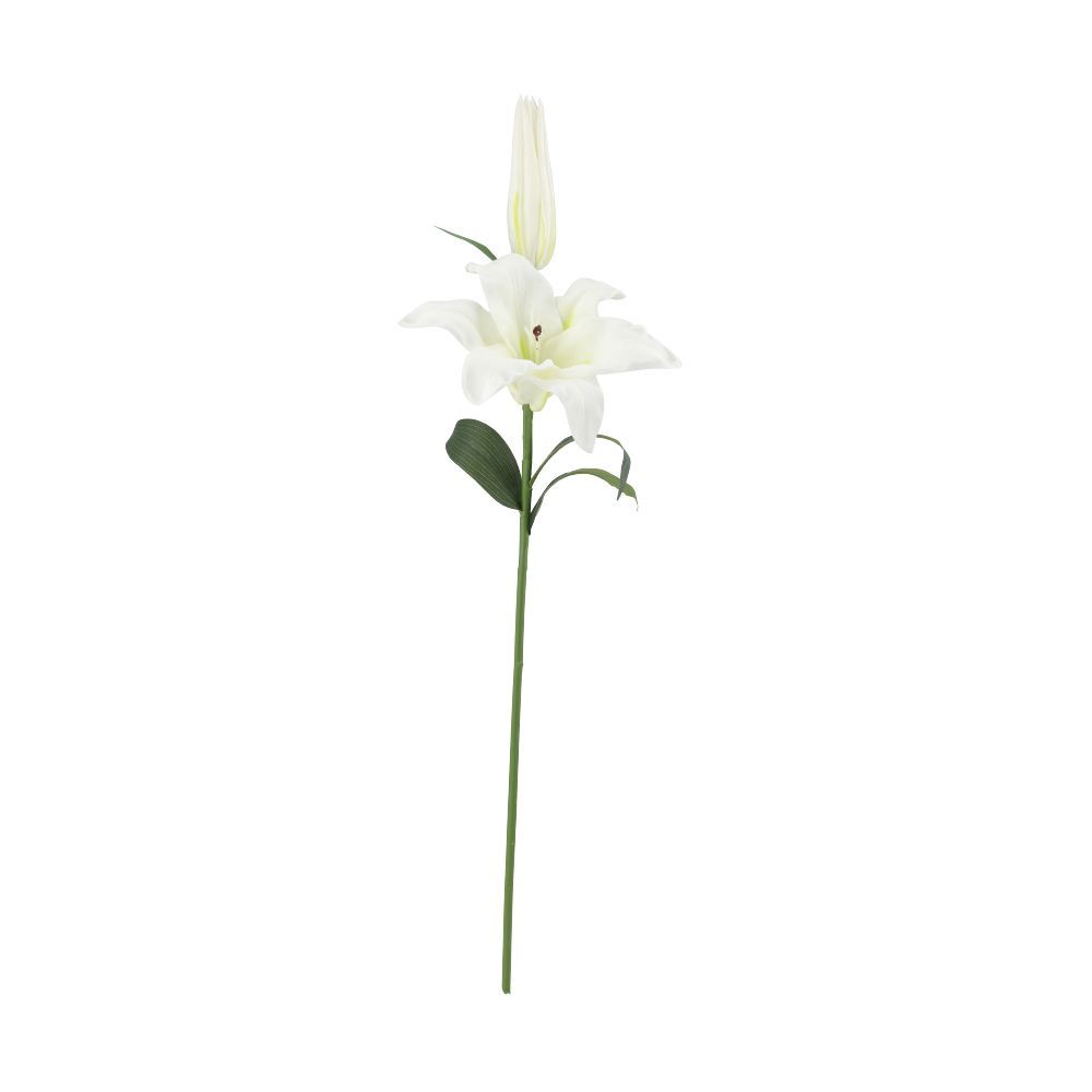ดอกลิลลี่ 2 ดอก รุ่นลิเดีย สูง 70 ซม. - สีขาว
