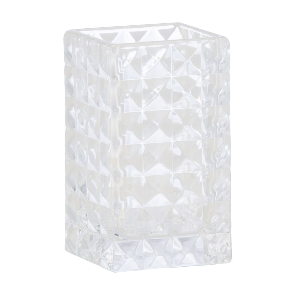 Scott Model Toothbrush Holder - Transparent