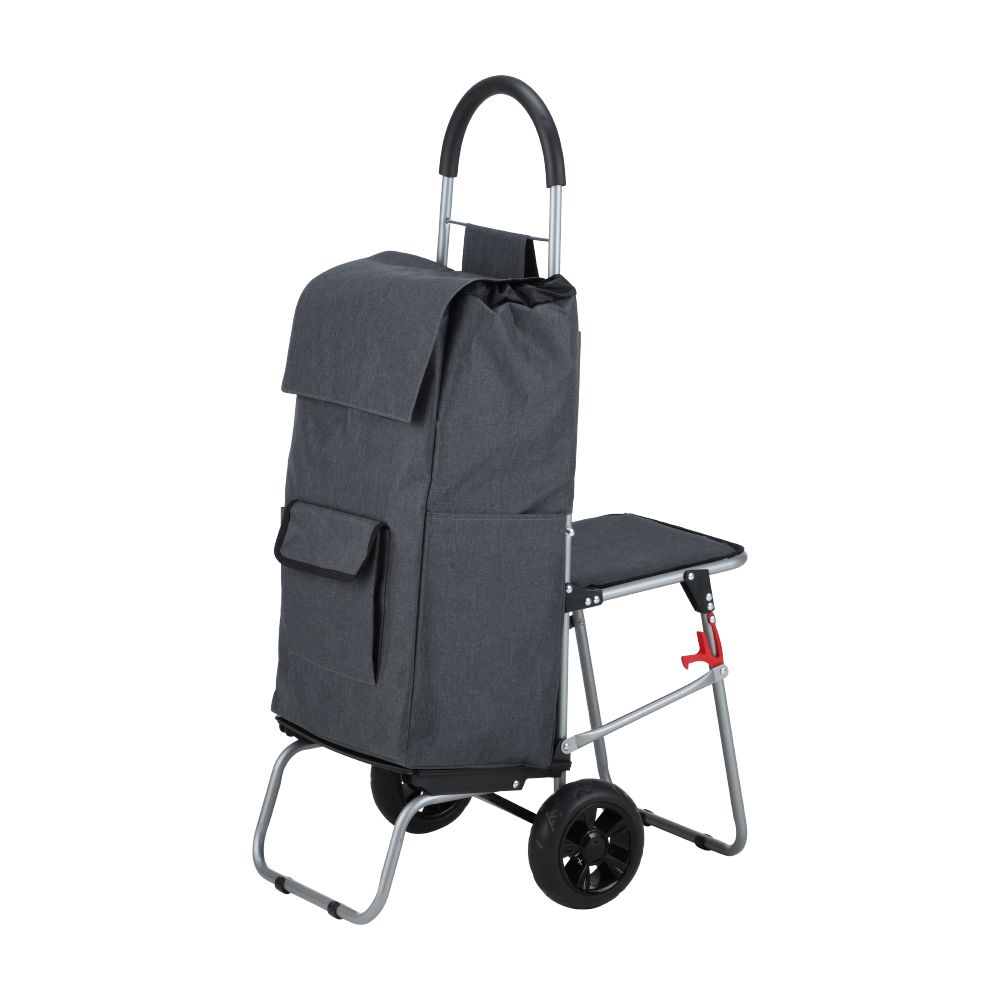 Multi-purpose cart, can sit on, Model Jamie - Gray/Silver