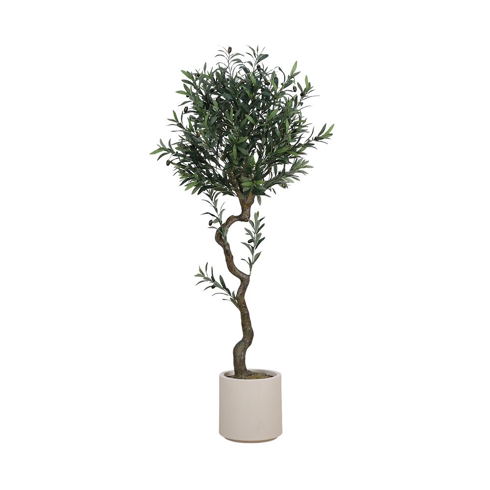 Olive tree in a pot, Model Olive - Green/White