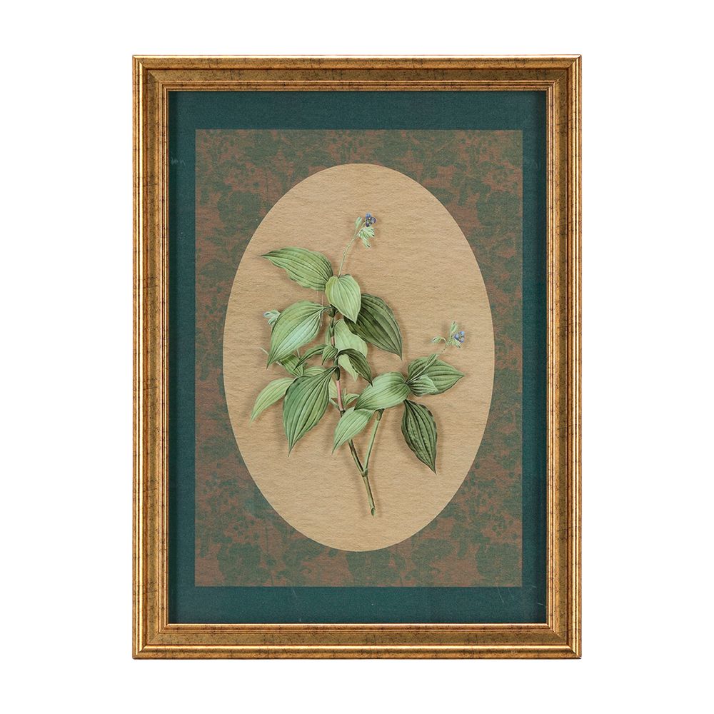 Picture with frame Model Onn Size 57.6 x 77.6 cm - Multicolor