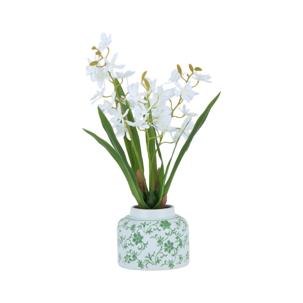 Orchid in a pot, Model Orania - White/Green