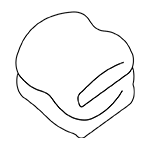 Duvets & covers