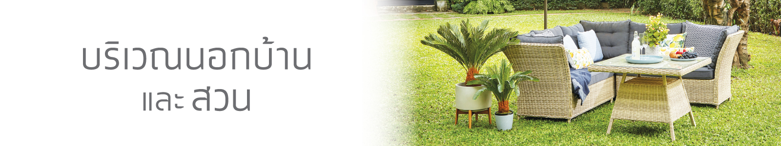 Outdoor & garden
